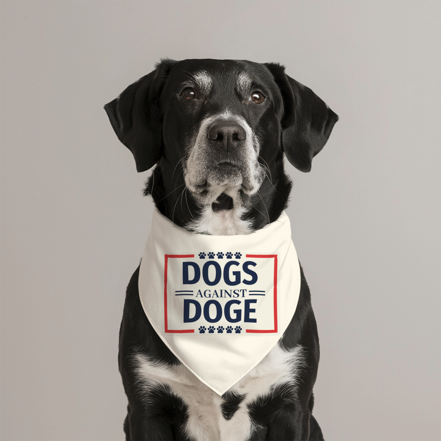 DOGS AGAINST DOGE  - Pet Bandana Collar