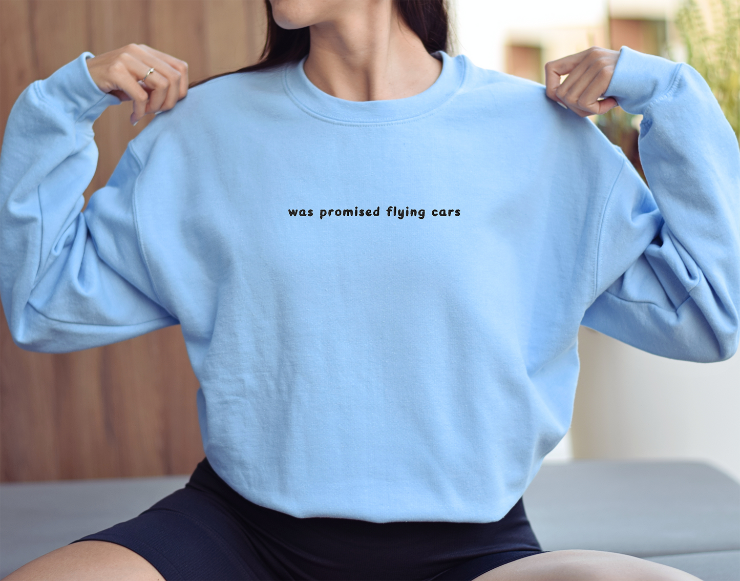 WAS PROMISED FLYING CARS - Embroidered Unisex Crewneck Sweatshirt