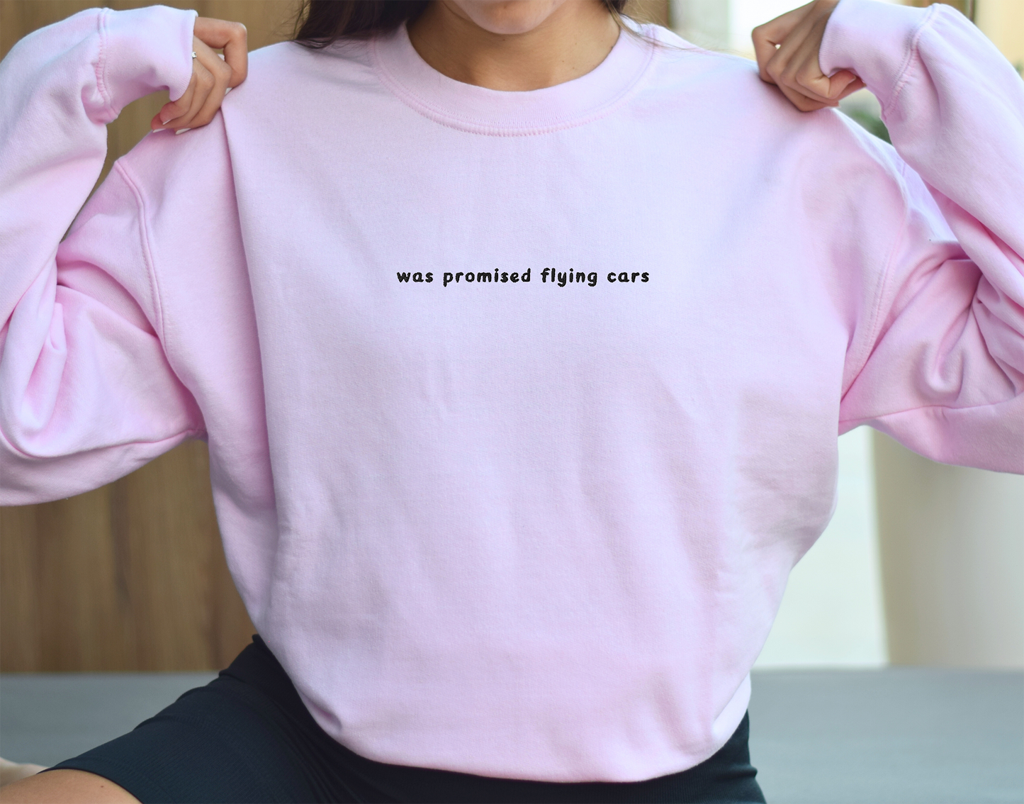 WAS PROMISED FLYING CARS - Embroidered Unisex Crewneck Sweatshirt